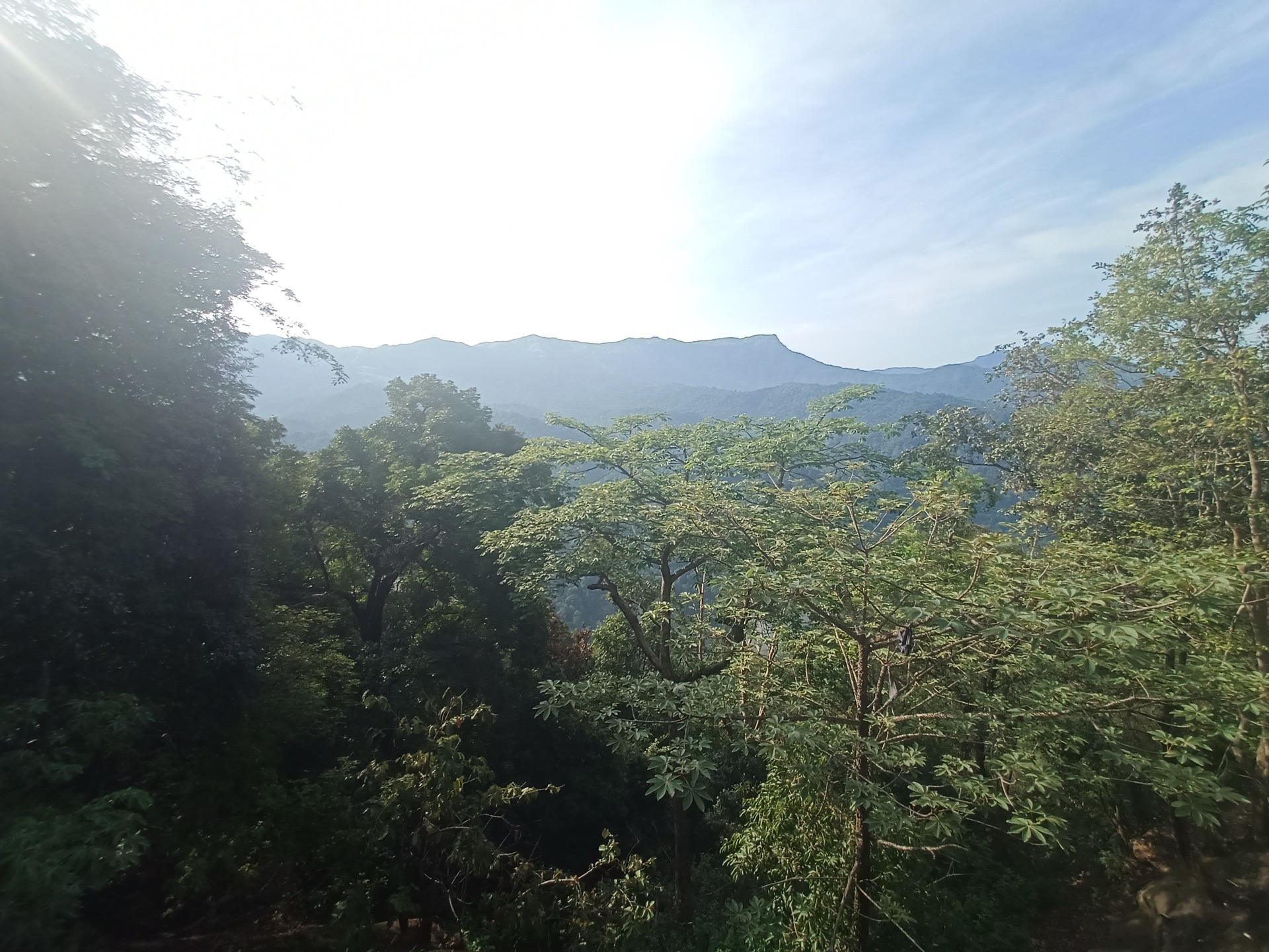 Scenic road near Udupi and Manipal